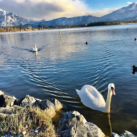 Fischer Am 3* Füssen